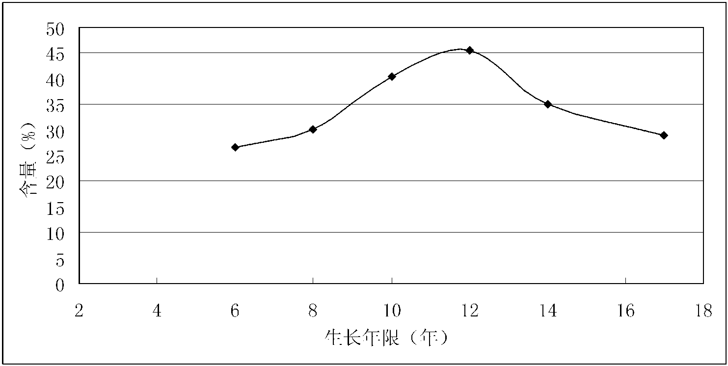 人參的可溶性糖含量測定